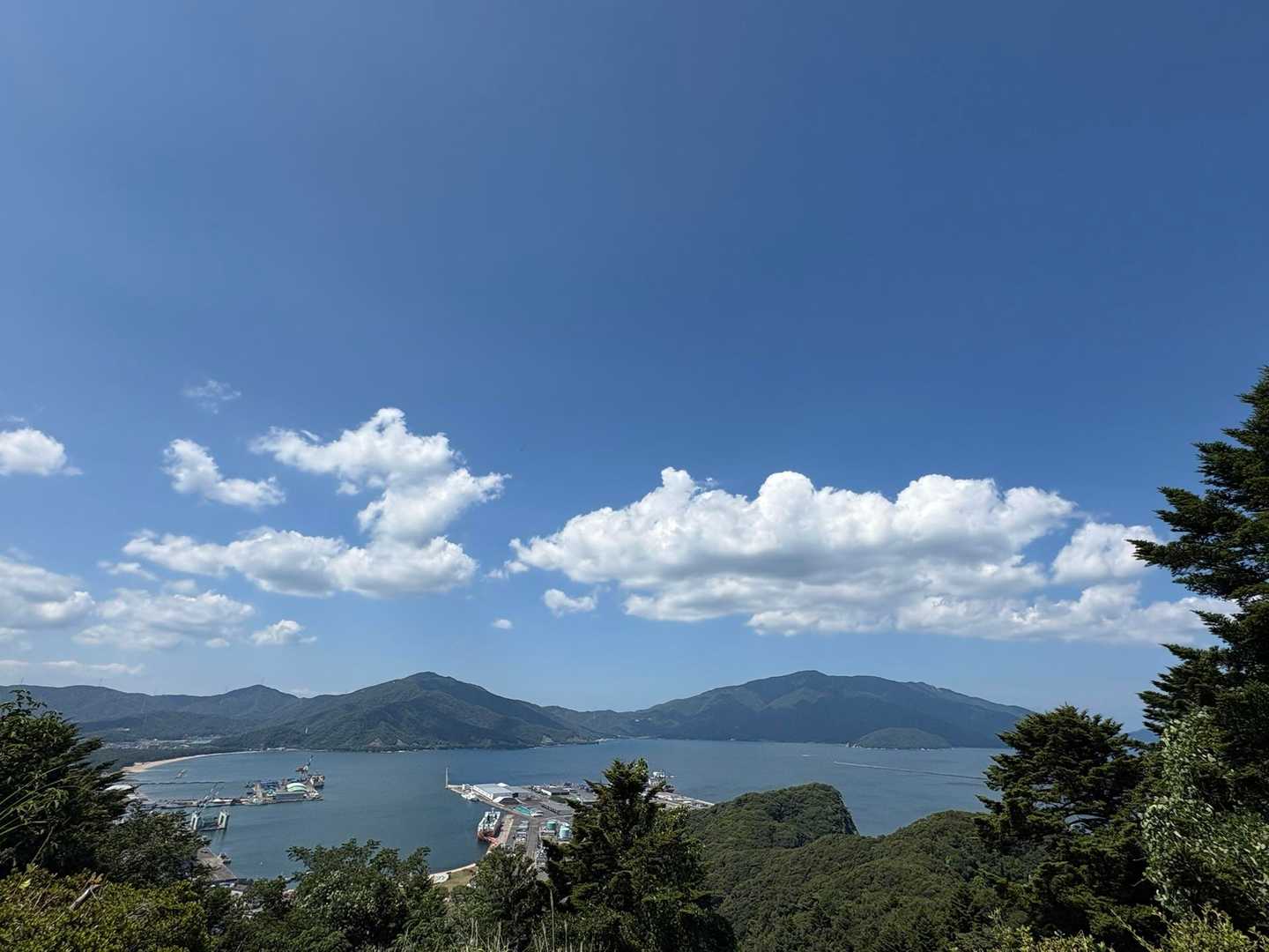 金ヶ崎公園駐車場発着｜信長が窮地に陥った歴史をたどる天筒山 往復コースの写真