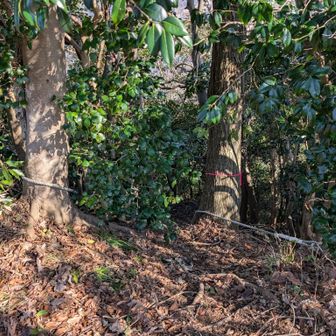 こんな所にロープ🪢が🧐気になる
いつか下りてみたいなぁ