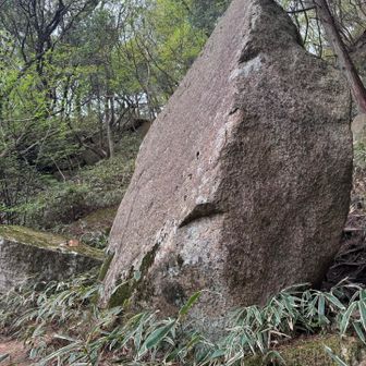 光ってないやん