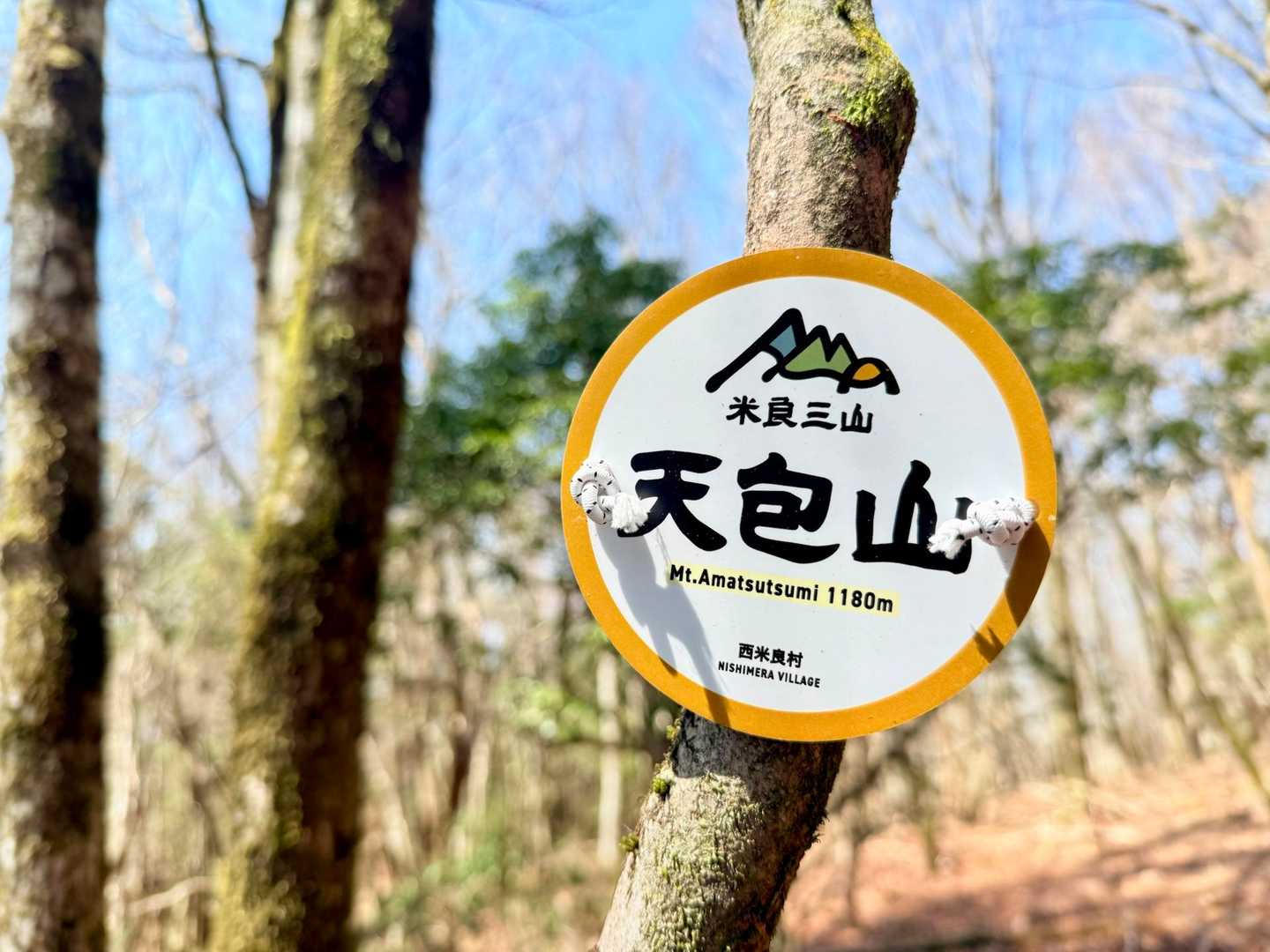 天包山 往復コースの写真