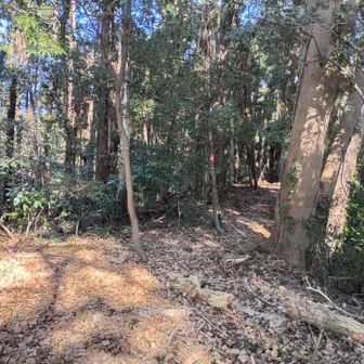 林道までもう少し。