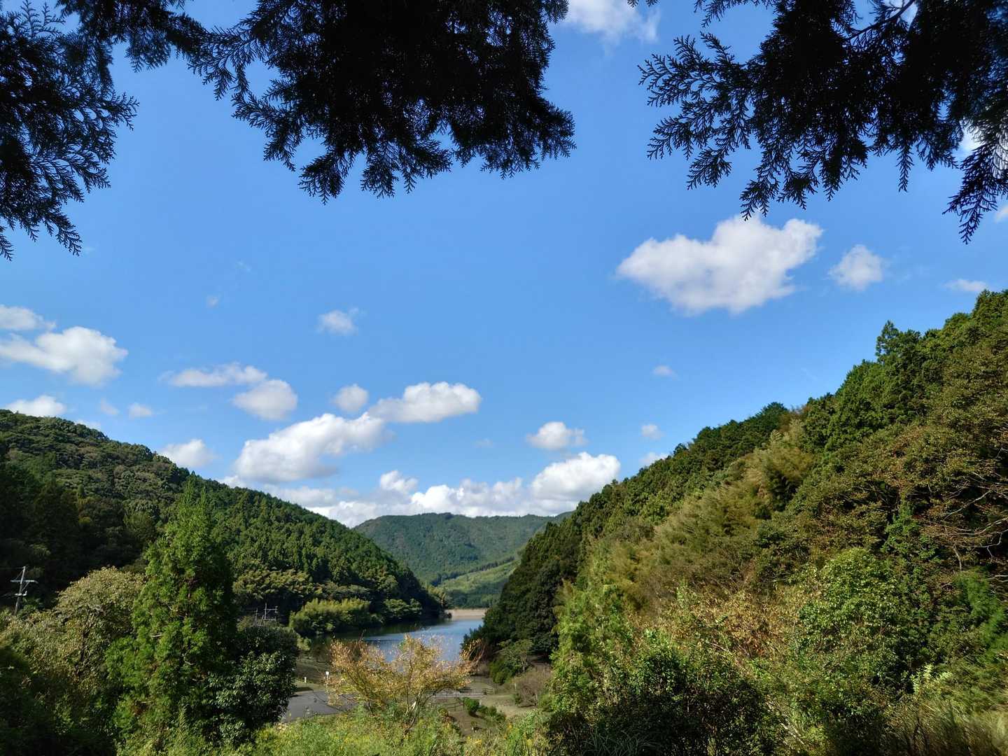 大坂山からの下りが地味に長かったです。
呉ダム公園が見えてきました。