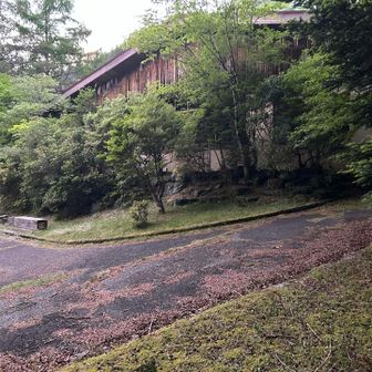 なんとか明るいうちにユーシンロッヂに到着💮💯この時、最高級ホテルに見えました🫰
気味悪いとか幽霊が出そうとか色々書かれてますが山の中で雨風冷気を防げるんですよ？鍵を掛けず開放してくれている事に神奈川県民として誇りに思います🤨今までたくさんの人が助けられているはず🙏感謝