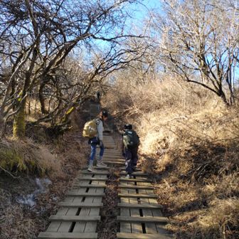 二ノ塔までの長い木道。丹沢って感じする。