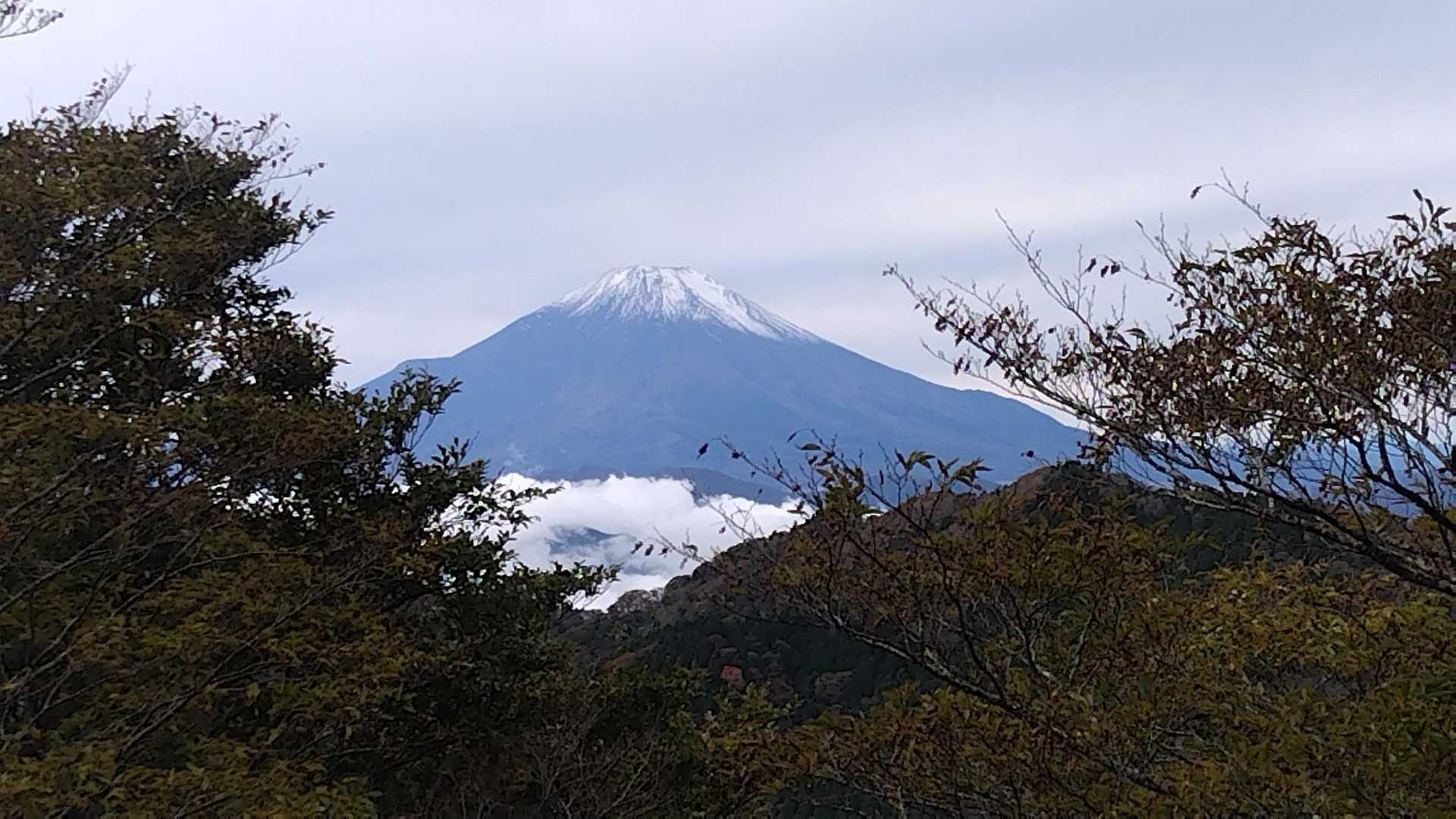 大倉バス停-観音茶屋-堀山-花立ノ頭-塔ノ岳-小丸-鍋割山 周回コースの写真