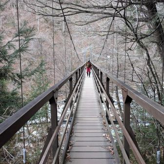 この橋を渡るときが、一番ホッとする😌