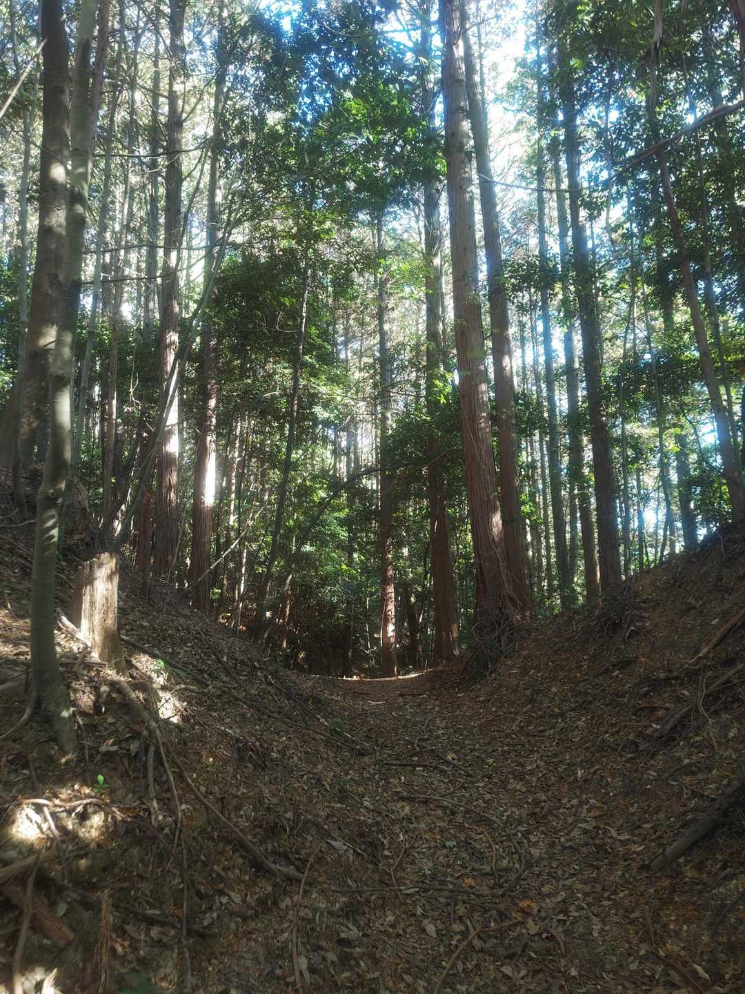 めっちゃ久しぶりの山✌️
と 言いつつ、ラクっぷ⛰️🤭
