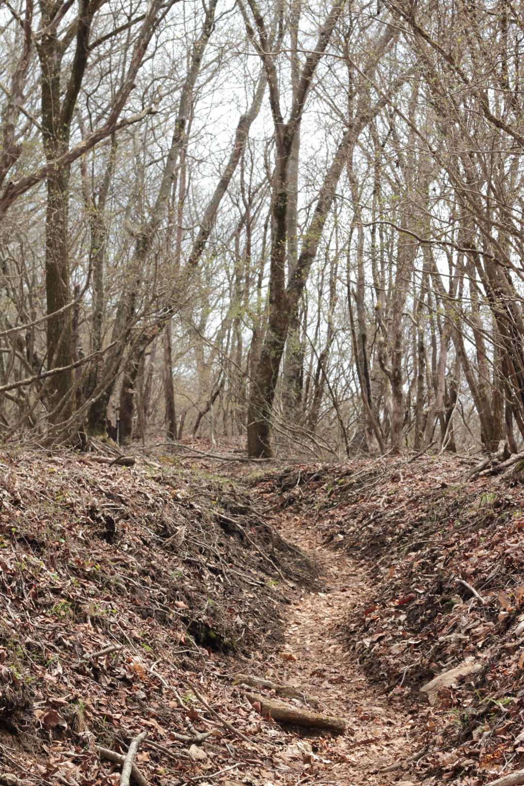 古峰原-方塞山 往復コースの写真