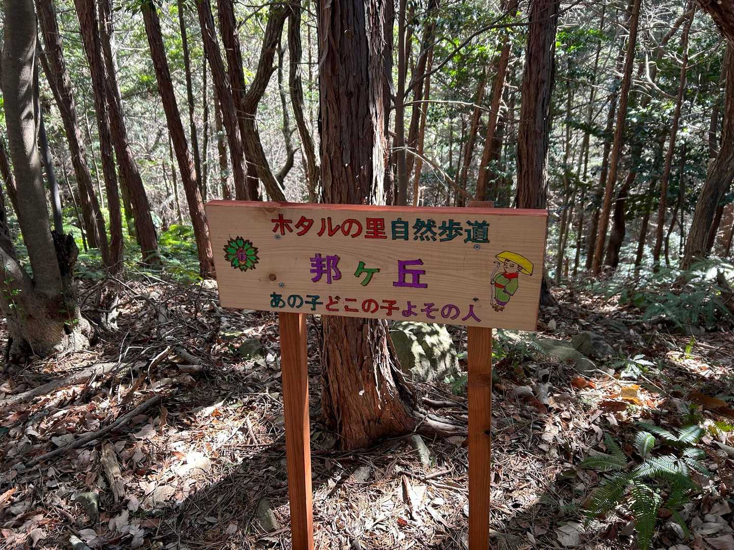愛宕山-京ヶ峯-七曲峠-ホド田山-音羽富士-古坂峠 周回コースの写真