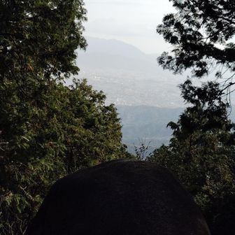 茂みの間からぼーっと見える宝満山💞 待ってろよ〜🖐️