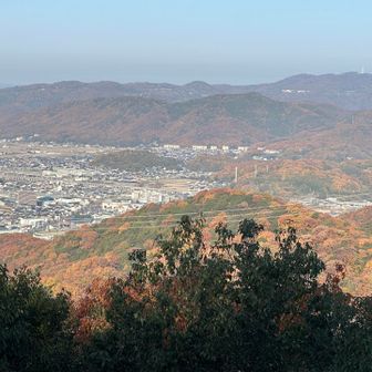 おーすんばらしい紅葉🍁