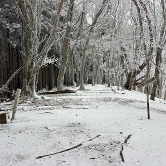 山頂標柱が見えました