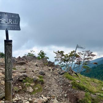 甲州アルプス最高峰⛰️
小金沢山✨
暑くないのが幸せ〜🥰