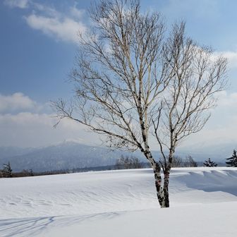 ひゃ〜到着🙌🙌
青空で嬉しい😍💖
三等三角点 和苅別