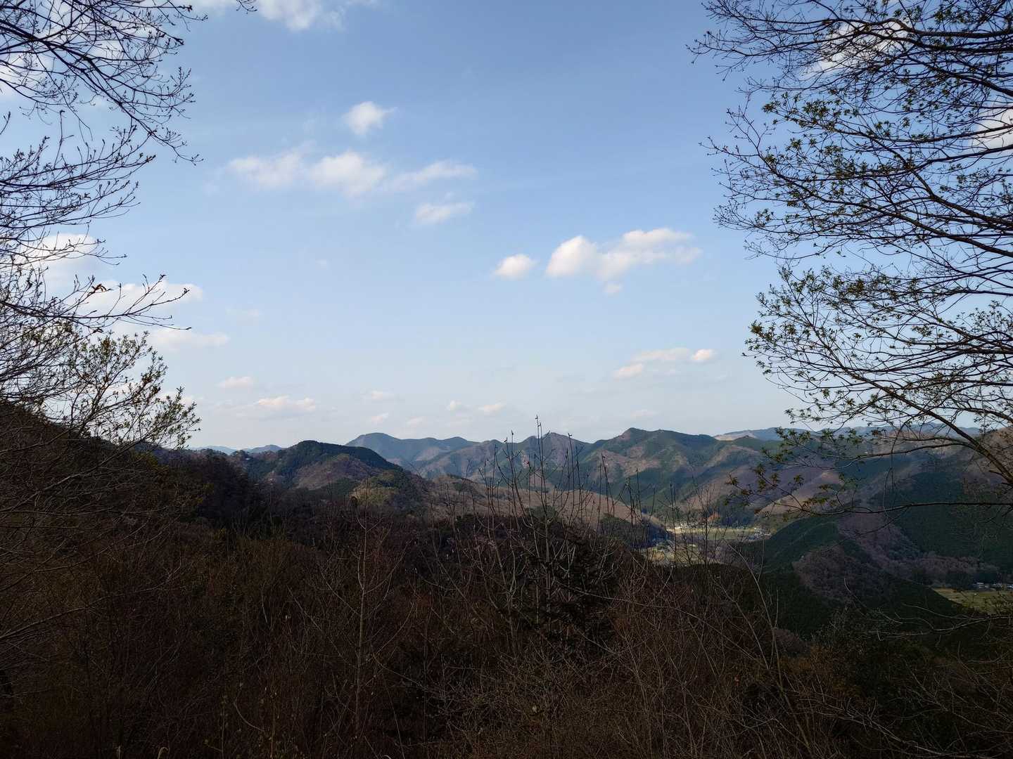 金原山登山口-金原山-林山 往復コースの写真