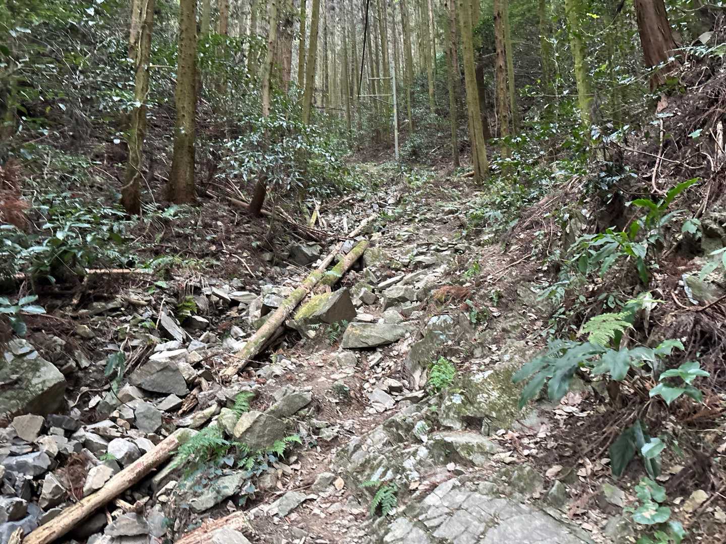 鞍手登山口から出発
途中からガレ場になりますが、整備されていて歩き易かったあ。