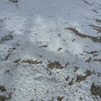 足元にはうっすら雪❄️凍ってます…寒いです…