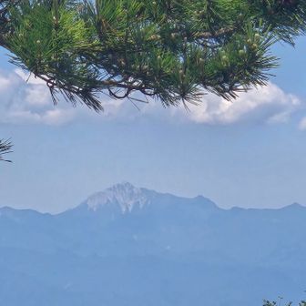 大仙が見えました