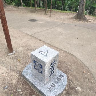 超立派な三角点