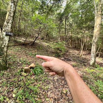東洞山、北山方面は、左です。
直進はルートではありません。