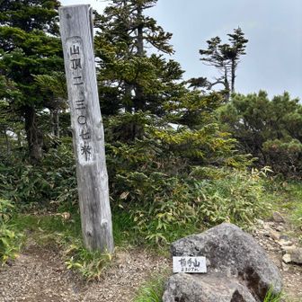 登頂