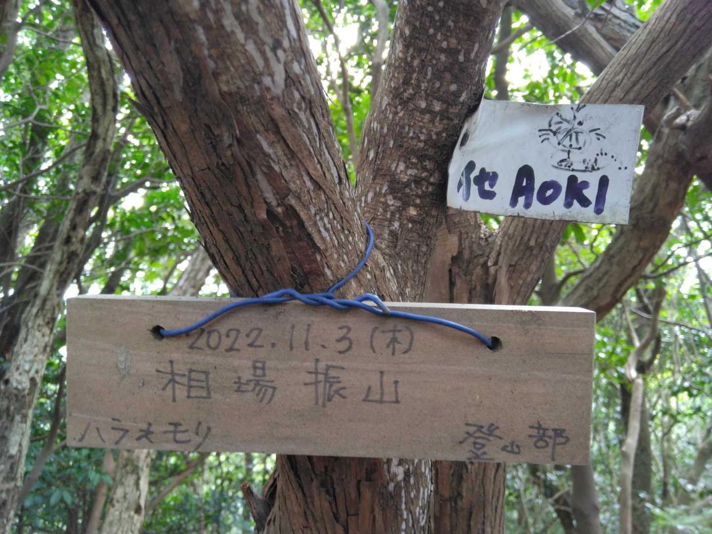 相場振山