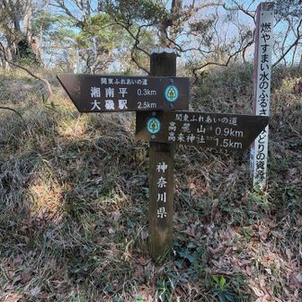 湘南平に向かいます