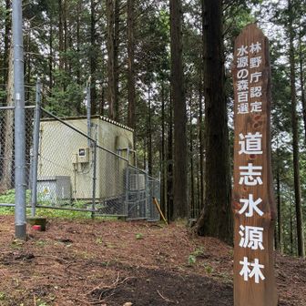 再度、登山道に入るところに、水源林の看板が立っています。横浜市民の水を支えているようです