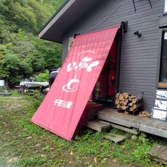 沢山のドリンクが冷やされてました