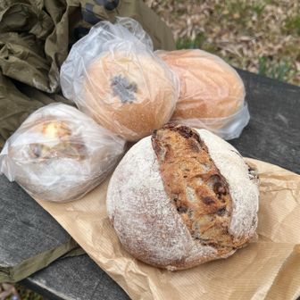 購入したパン🍞一部ですが。
けやきの前のベンチでいただきます、美味い〜😋もっと晴れてたら良かったけど。