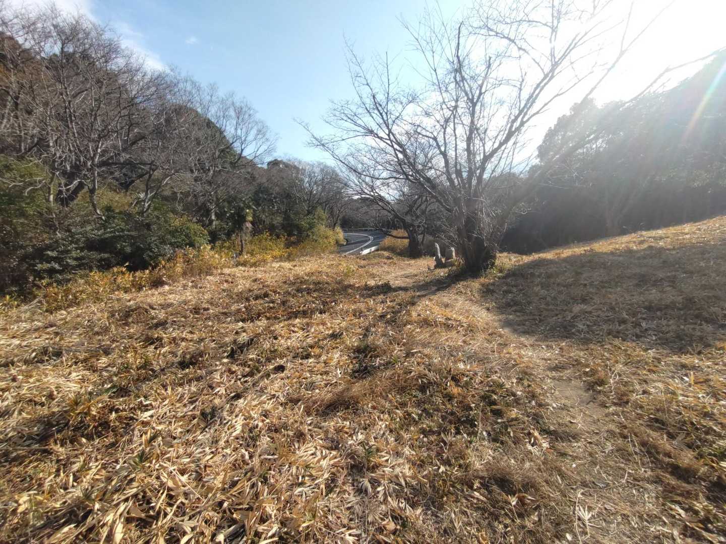 あっという間に下山😄