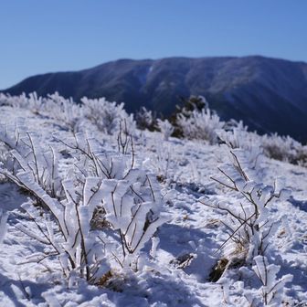富士見台に帰ってきました！
人がいない(笑)