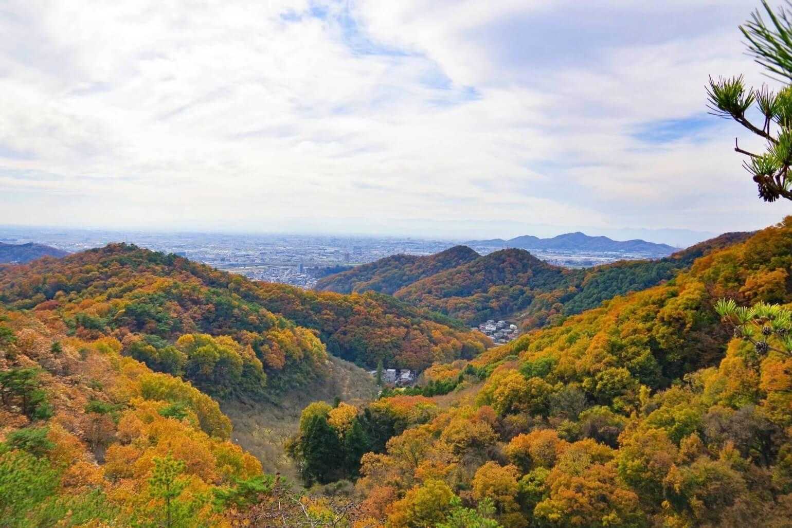 織姫公園発着｜両崖山 往復コースの写真