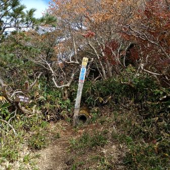 白笹山の頂上は少し寂しい