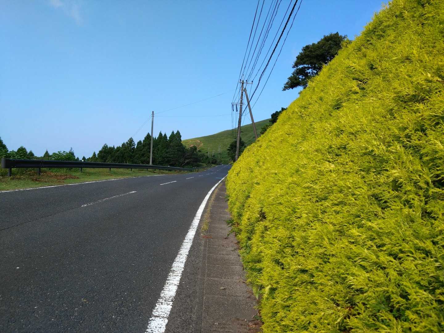 アスファルトロード歩き🚶💨