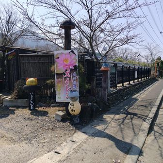宮前コース登山口から妙光寺まで歩きました。