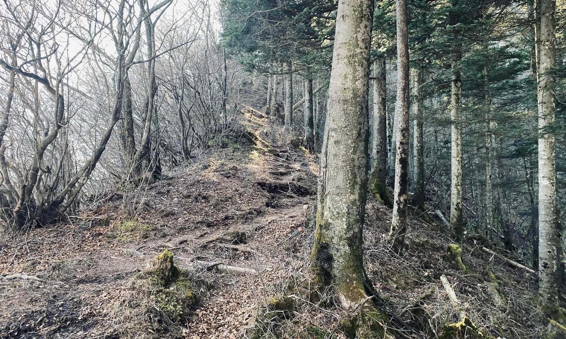 金山に戻った後は本日のメインへむけて出発🚶‍➡️