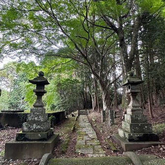 日枝神社参道…🌿