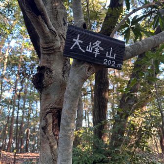 大峰山（202m）
キティ山岳会の標識を探したけど見つからなかった🤭