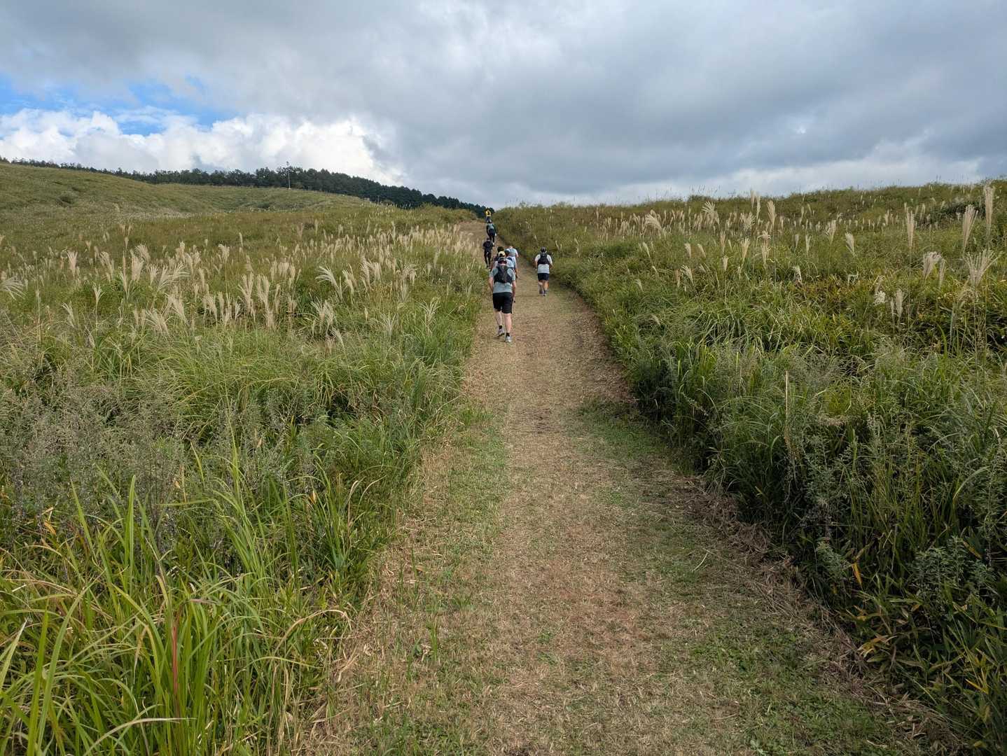 大矢岳-地蔵峠-二ッ山 周回コースの写真