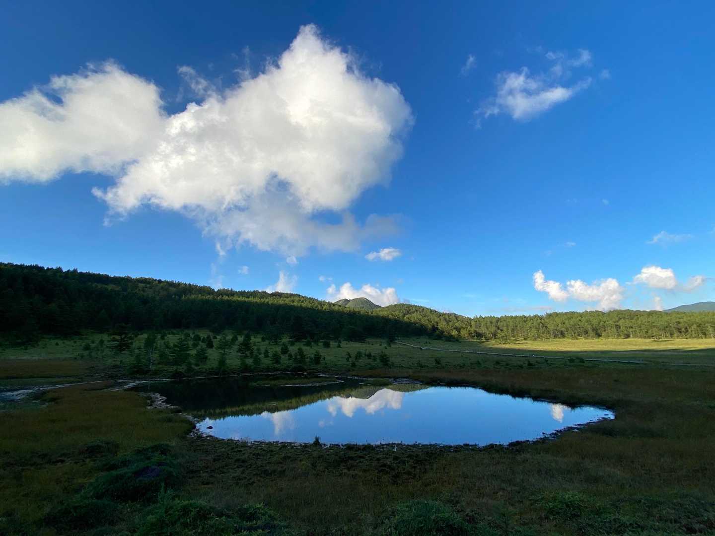 烏帽子岳登山口-湯の丸バス停-見晴岳-三方ヶ峰-池ノ平湿原 周回コースの写真