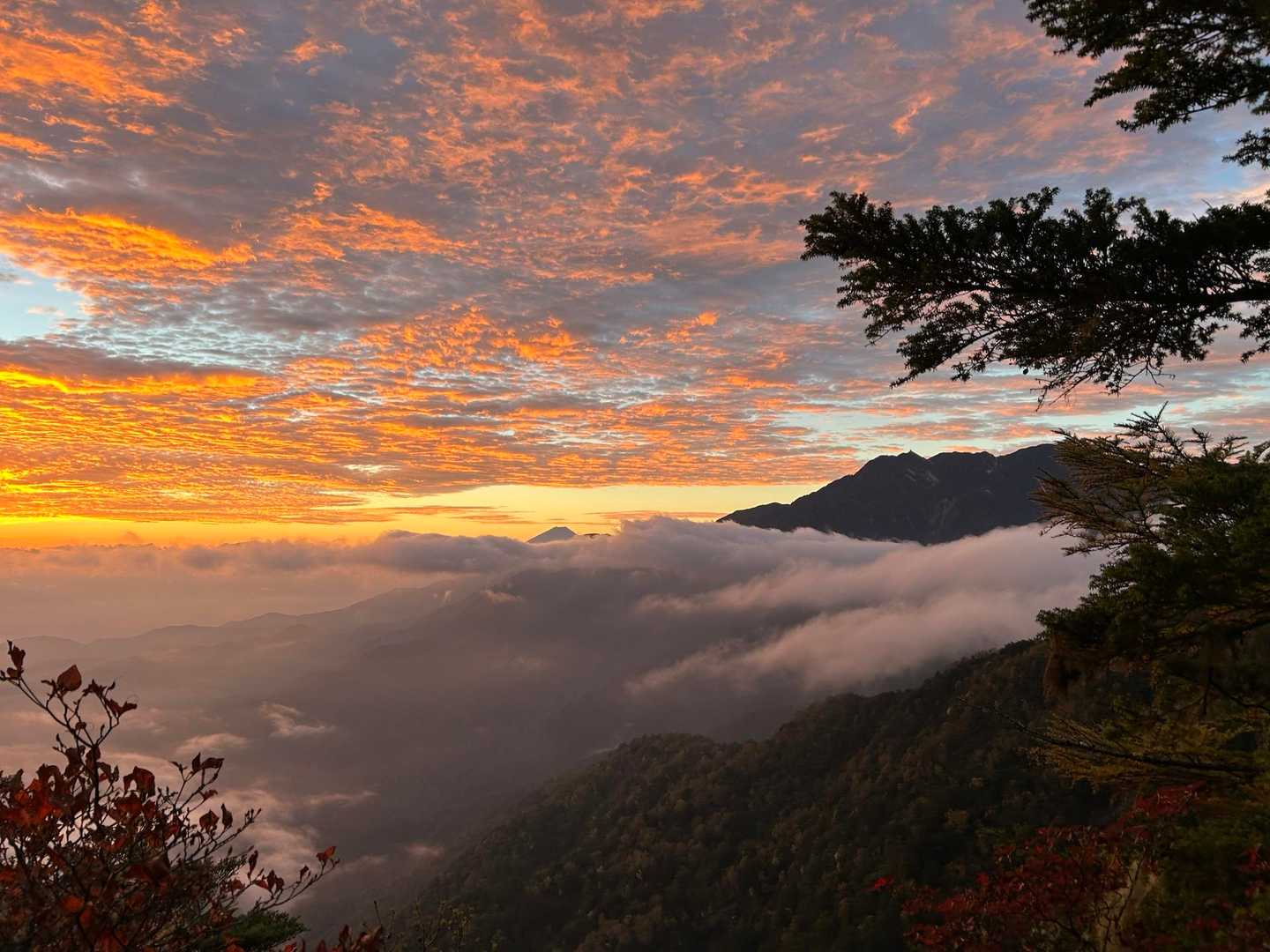 日の出が上がり、良い景色