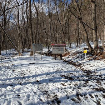 雪解けで泥グチョ。無事下山