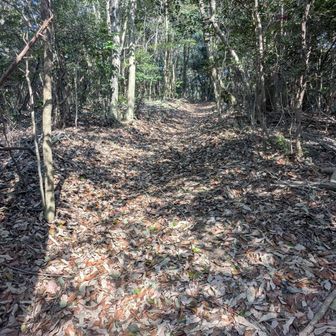 雌岡山への道。