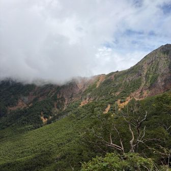 赤岳から横岳方面