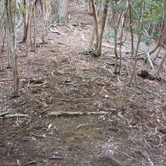 結構な登りですよ！ただ、短いです😁