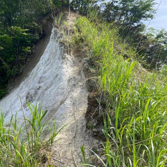 ここから登山道へ