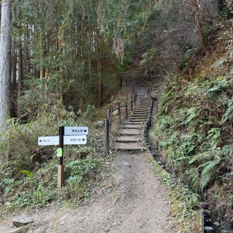 こういう階段が整備されている。