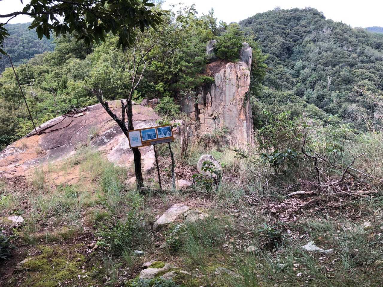杉山-高丸 周回コースの写真