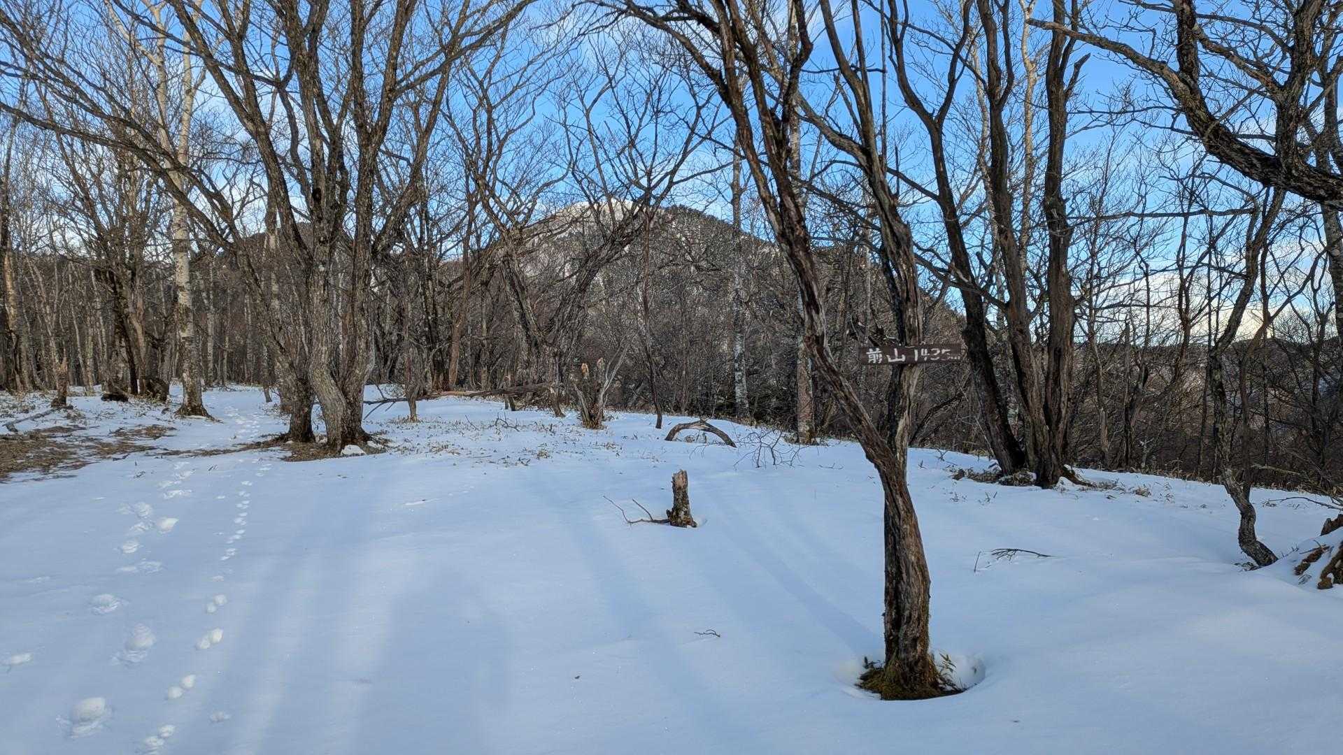 前山山頂